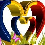 حسين إدريس موسى